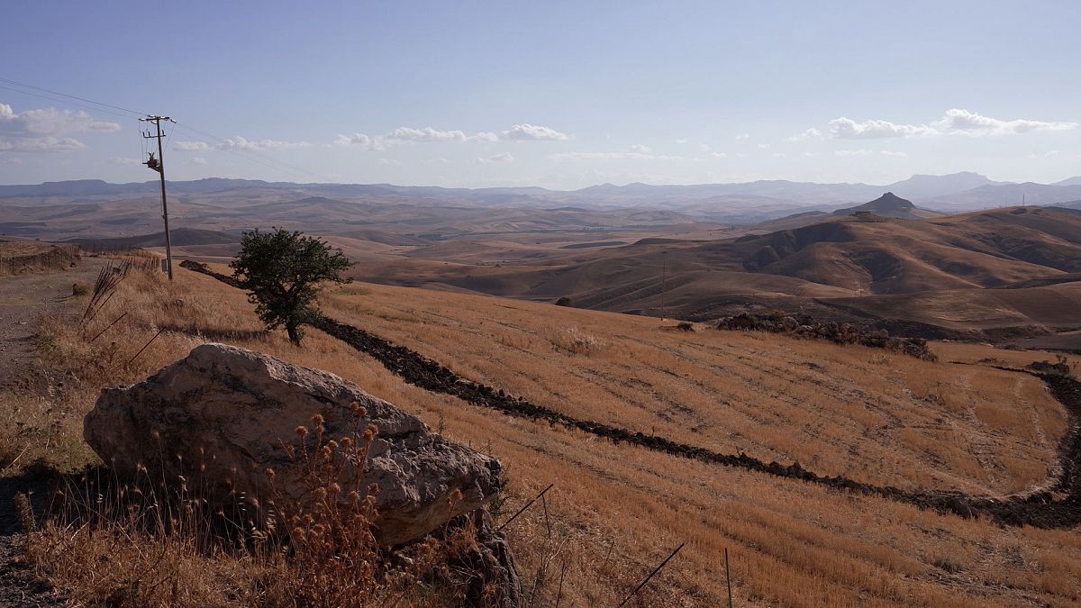 Droughts, desertification, heatwaves: the climate crisis hits Sicily hard 