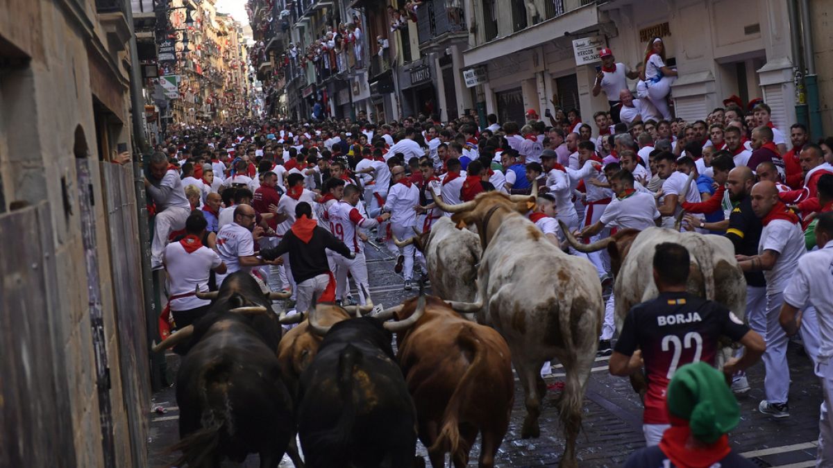 Tens of thousands attend controversial San Ferm&iacute;n bull-running festival 