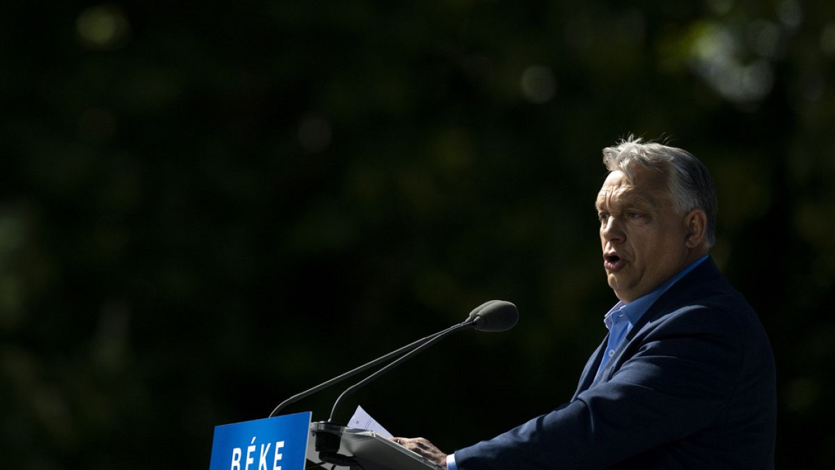Budapest denies its newly-formed 'sovereignty protection' agency is intimidating civil society