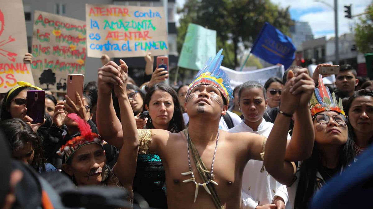 Deforestation in Colombia fell to historic lows in 2023: How did they achieve the drop? 