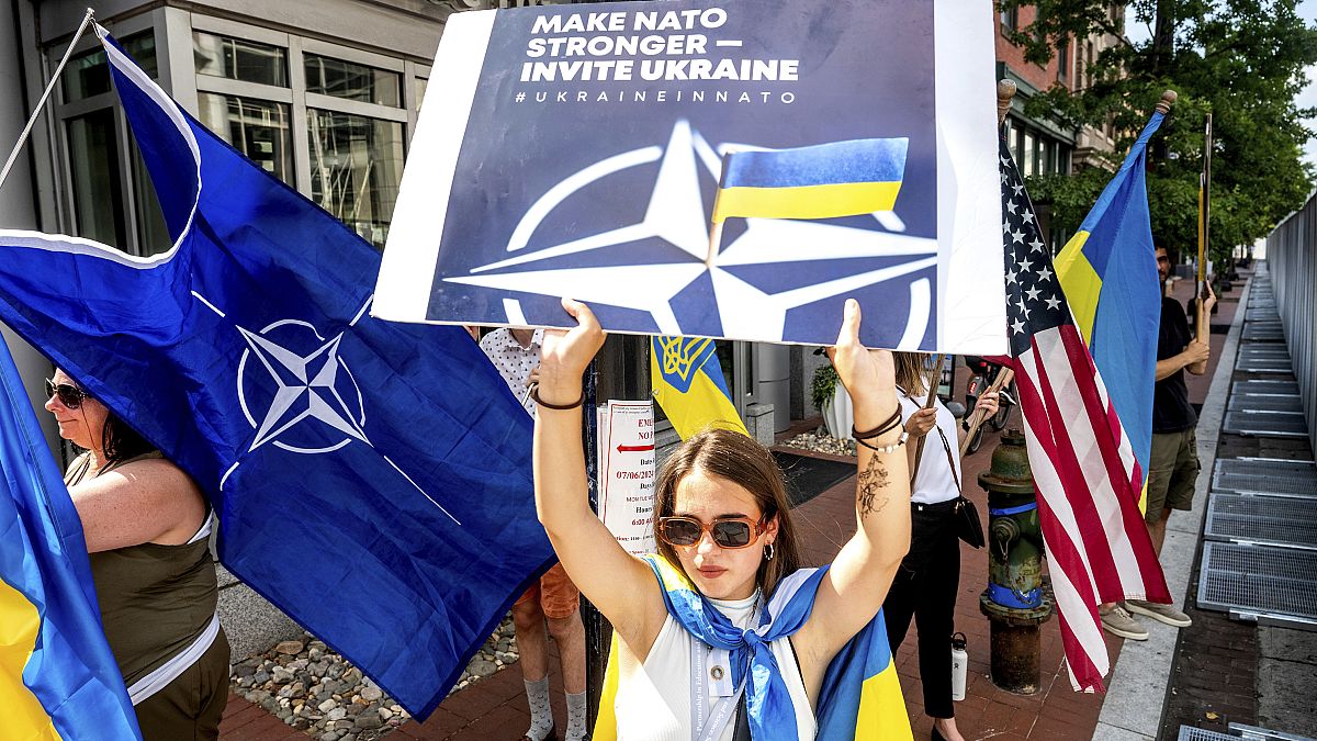 Путь Украины в НАТО: интервью Ольги Стефанишиной Euronews